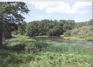Alver Valley